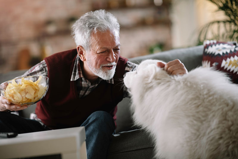 senior man with dog photo