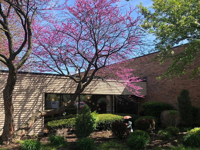 The Village of East Harbor Photo gallery